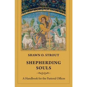 Shepherding Souls - by  Shawn O Strout (Paperback) - 1 of 1
