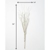 Sullivans Birch Artificial Stem 36"H Brown - 3 of 3