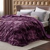 Bedsure- Cloud Soft PV Blanket ,Comfy Plush and Furry Faux Fur - 2 of 4