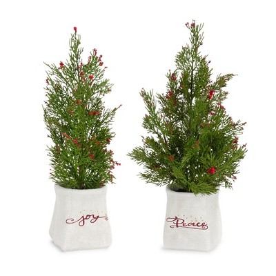 Melrose Potted Mini Pine Tree (Set of 2)