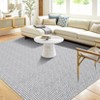 Indoor Modern Washable Living Room Rugs, Soft Non Slip Textured Throw Carpet for Bedroom Home Office - 3 of 4
