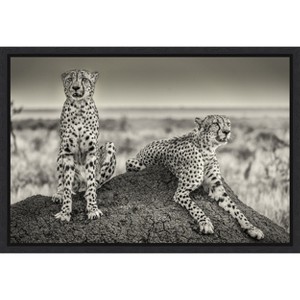 Amanti Art Two Cheetahs watching out by Henrike Scheid Canvas Wall Art Print Framed 23-in. x 16-in. - 1 of 4