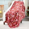 Holiday Reversible Plush Throw 50"x60" - 3 of 4
