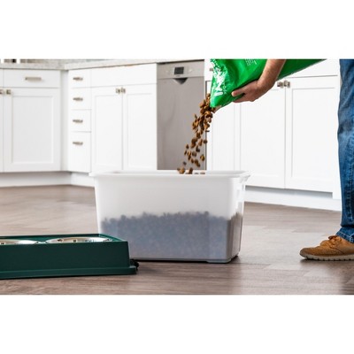 Large Green Elevated Feeder with Stainless Steel Bowls and Airtight Storage