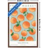 Trends International Reinders: Fruit Market - Valencia Oranges Framed Wall Poster Prints - 3 of 4