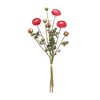Melrose Ranunculus Bundle (Set of 2) - 3 of 3
