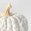 Medium Pumpkin Figurine - Hyde and EEK! Boutique™ - 3 of 3