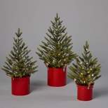 3pc Pre-Lit LED Balsam Fir Potted Mini Artificial Christmas Trees Dewdrop Warm White Lights - Wondershop™