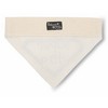Pavilion Gift Company - Super Dog - 7" x 5" Canvas Slip on Pet Bandana - Pet Apparel Accessories - 4 of 4