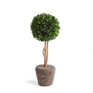 Plum & Post Boxwood Single Sphere Topiary Drop-In 16" - 1 of 4