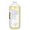 Solutions Sweet Almond Oil by Now Foods  -  32 fl oz Oil - 2 of 3