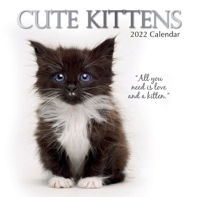 The Gifted Stationery 2021 - 2022 Kittens Monthly Wall Calendar, 16 Month, Cat Animals Pet Theme with Reminder Stickers, 12 x 12 in