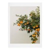 Romana Lilic / LA76 Photography Pomegranates 18" x 24" Art Print & Hanger - Society6 - 2 of 2