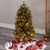Nearly Natural 4-ft Slim Colorado Mountain Spruce Artificial Christmas Tree with 150 (Multifunction with Remote Control) - 4 of 4