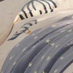 f蓝色+白色不带抽