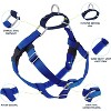 2 Hounds No-Pull Freedom Harness and Leash for Dog Walking, Royal Blue, 1" XXLarge - 2 of 4