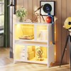 Pinmoco 55" LED TV Stand for TVs up to 65'', Expandable Side by Side or Stacking TV Stand with Storage - 4 of 4