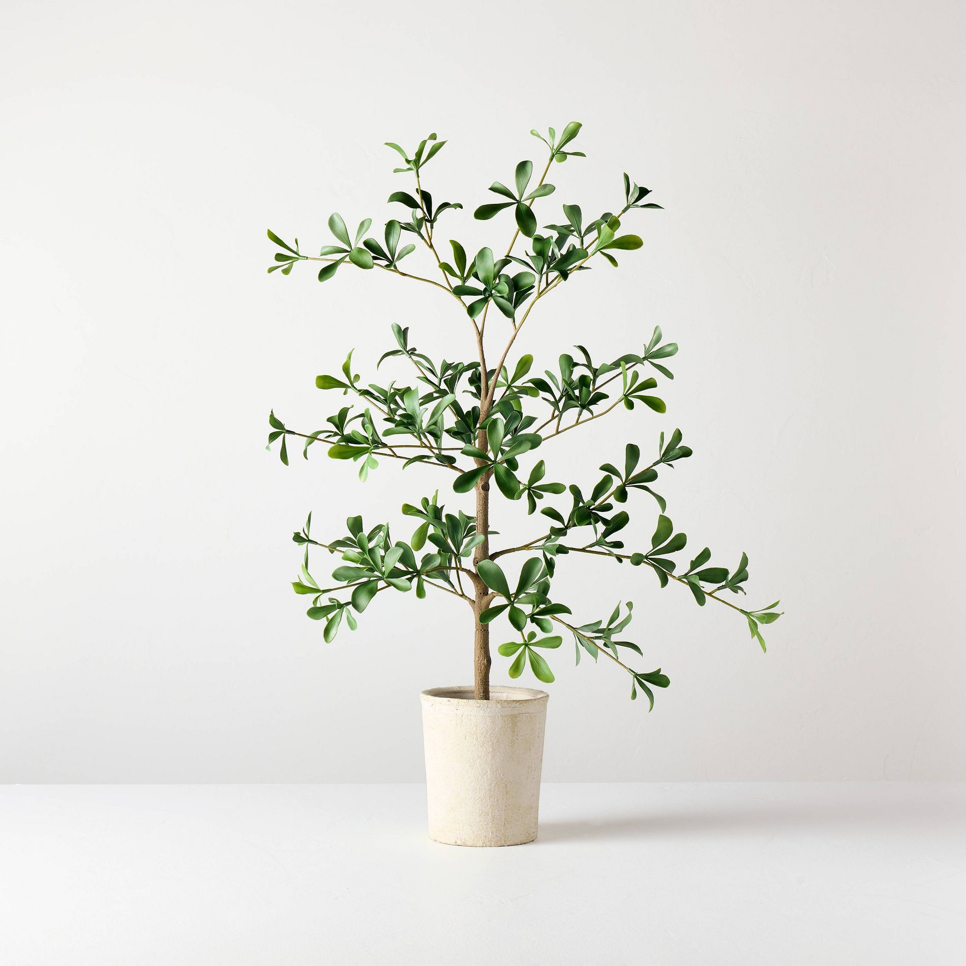 28" Mini Black Olive Artificial Tree - Hearth & Hand™ with Magnolia