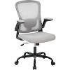Premium Ergonomic High-Grey Mesh Office Chair - Adjustable Height, Flip-Up Armrests & Lumbar Support - Comfy Swivel Seat for Home, Gaming & Work - 2 of 4