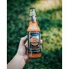 ACE Space Blood Orange Hard Cider - 6pk/12 fl oz Bottles - 4 of 4