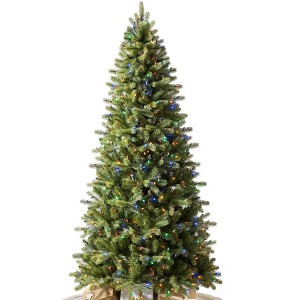 Balsam Hill Pre-Lit Bellevue Spruce Artificial Christmas Tree - 1 of 4