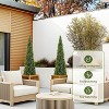 Coucheta Artificial Topiary Trees - Faux Cedar & Cypress in 3-5FT Sizes with UV-Resistant & Pot Options for Indoor/Outdoor Home & Garden Decor - 4 of 4