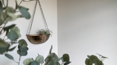 Antique Brass Semicircular Hanging Wall Planter with Chain