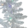 Kurt Adler 9-Foot Pre-Lit Multi-Colored LED Jackson White Pine Garland - 2 of 3