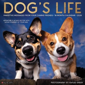 Willow Creek Press 2026 Dog's Life Wall Calendar - 1 of 4