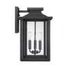 Quoizel Lighting Wakefield 3 - Light Sconce in  Earth Black - 4 of 4