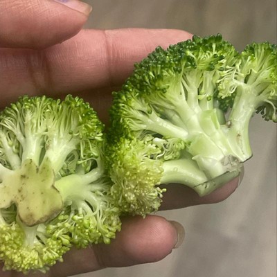 Organic Steam-in-bag Broccoli Florets - 9oz - Good & Gather™ : Target