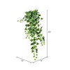 Vickerman Artificial Varigated Ivy Hanging Bush - 2 of 3