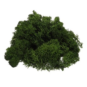 Unique Bargains Decoration Craft Artificial Plants Dried Preserved Reindeer Moss 4 OZ - 1 of 4