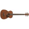Ibanez PCBE12MHOPN 4-String Acoustic Bass Guitar (Open Pore Natural) - 2 of 2