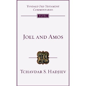 Joel and Amos - (Tyndale Old Testament Commentaries) by  Tchavdar S Hadjiev (Paperback) - 1 of 1