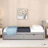 Twin Size Wooden Platform Bed With 2 Drawers/Trundle, White/Gray/Walnut, 4W -ModernLuxe - image 3 of 4