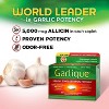 Garlique Healthy Cholesterol Support Supplement, Odor-Free Garlic, 5000 mcg Allicin, 60 Caplets - 2 of 4