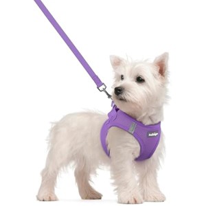rabbitgoo Dog Harness Small Sized and Leash Set, Step in Soft Light Puppy Pet Harness, Reflective for Safe Outdoor Walking, Purple S - 1 of 1