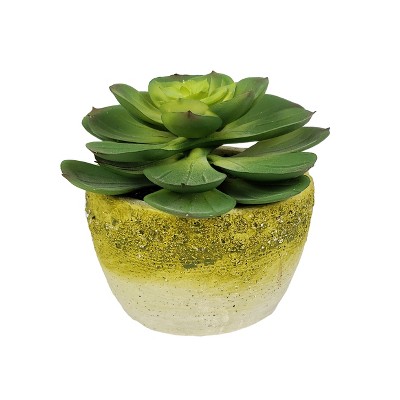 HomeRoots 4" Green Artificial Succulent Succulent in a White And Yellow Pot