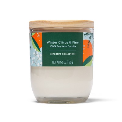 Winter Citrus & Pine Candle - 5.5oz - Everspring™