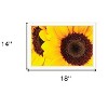 HomeRoots Sunflower Portrait White Framed Print Wall Art - 3 of 4