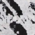 black/ivory