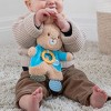 Beatrix Potter Peter Rabbit Teether 10 Inches Plush Sensory Toy - 3 of 3