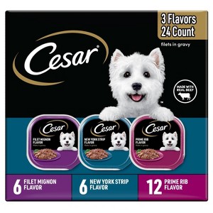 Cesar Filets in Gravy Chicken, Steak, Beef, Gravy and Red Meat Flavor Variety Pack Small Breed Wet Dog Food - 5.29lbs/24ct - 1 of 4