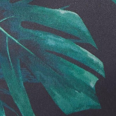 night tropical