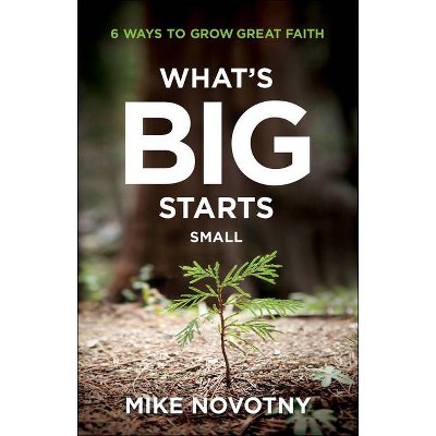 What's Big Starts Small - by  Mike Novotny (Paperback)