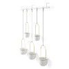 Umbra Triflora 5 Hanging Planter White/Brass: Indoor Ceiling Mount, Adjustable Ropes, Modern Decor - 3 of 4