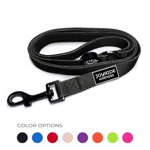 Joyride Harness Premium Matching Dog Leash - 1 of 4