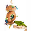 Penn Plax Natural Coconut Bird Kabob with Wood and Sisal - 3 of 3