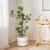 COWLOWN 47.2-in Artificial Pieris Tree, Realistic Faux Leaf Potted Plant for Home, Office - 4 of 4